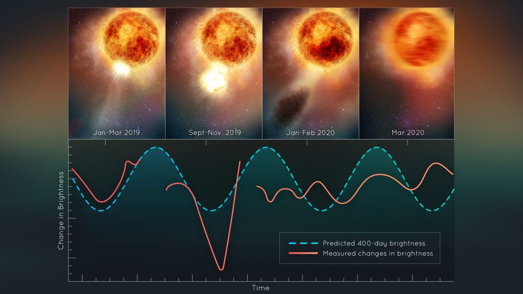Esta ilustración muestra los cambios en el brillo de la estrella supergigante roja Betelgeuse, luego de la eyección masiva titánica de una gran parte de su superficie visible. El material que escapaba se enfrió para formar una nube de polvo que temporalmente hizo que la estrella se viera más tenue, vista desde la Tierra. Esta convulsión estelar sin precedentes interrumpió el período de oscilación de 400 días de la estrella monstruosa que los astrónomos habían medido durante más de 200 años. El interior ahora puede estar moviéndose como un plato de postre de gelatina. Créditos: NASA, ESA, Elizabeth Wheatley (STScI)