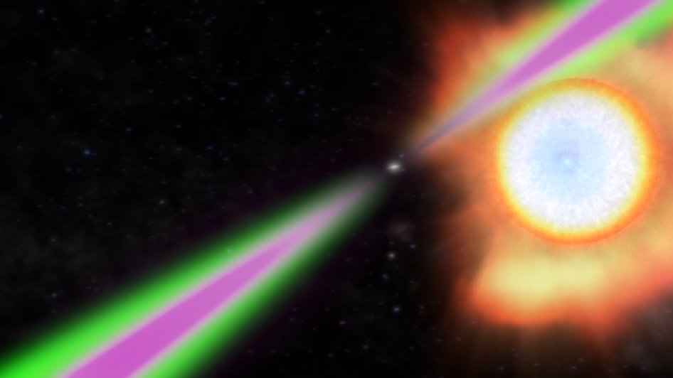 Una estrella de neutrones giratoria hace oscilar periódicamente sus haces de radio (verde) y rayos gamma (magenta) más allá de la Tierra en el concepto de este artista de un púlsar viuda negra. La estrella de neutrones/púlsar calienta el lado opuesto de su pareja estelar (derecha) a temperaturas dos veces más calientes que la superficie del sol y la evapora lentamente. (Crédito de la imagen: Centro de Vuelo Espacial Goddard de la NASA)