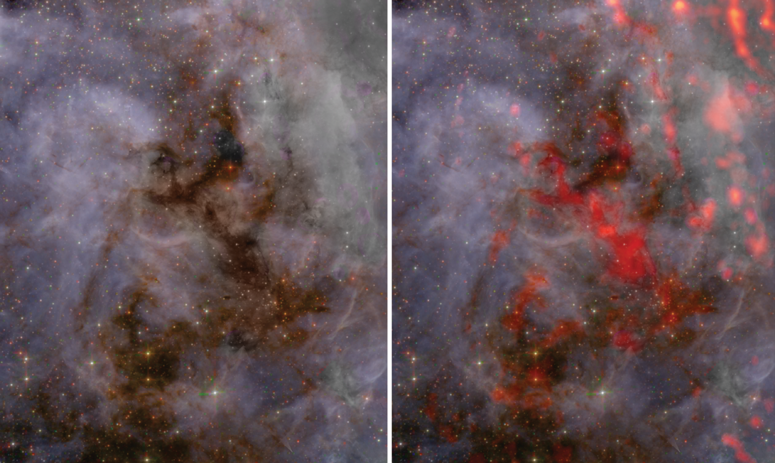 La incubadora de Gran Nube de Magallanes - Fósil-Divulgación y Ciencia