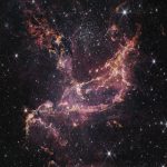 Webb inspecciona NGC346 (NIRCam)