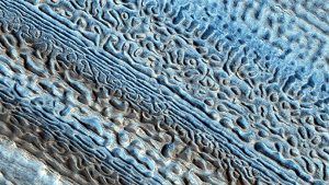 Marte-Brain-Coral-Terrain-SIZED