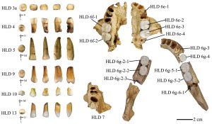 PleistocenoChina01