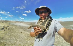 SINC-Joaquinraptor_casali-02