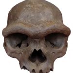 Un estudio revela que los habitantes prehistóricos del pueblo Jomon en Japón tenían «poco o ningún» ADN de los misteriosos denisovanos