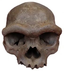 Denisovanos-Jomon-01