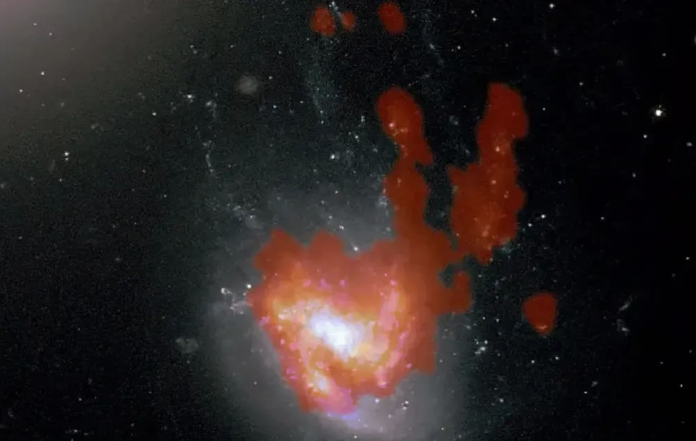 SWAB-GalaxiasConejo-01