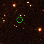 Ammonite, un nuevo sednoide decubierto