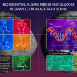 Azúcares, goma y polvo de estrellas encontrados en muestras del asteroide Bennu de la NASA