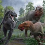 Confirman que un cráneo que se pensaba de un ‘T.rex’ adolescente es una especie distinta (Nanotyrannus lancensis)