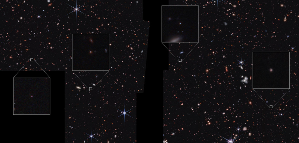 WEBB-Orniotorrinco-01